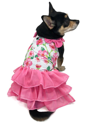 Floral Flounce Dress