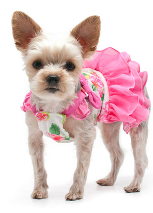 Floral Flounce Dress