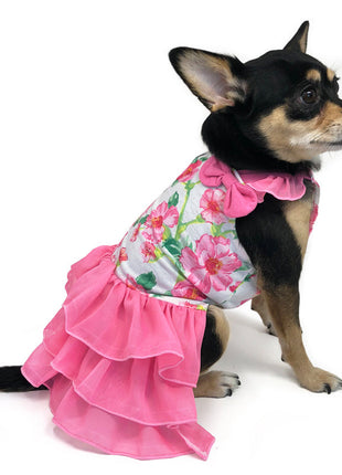 Floral Flounce Dress