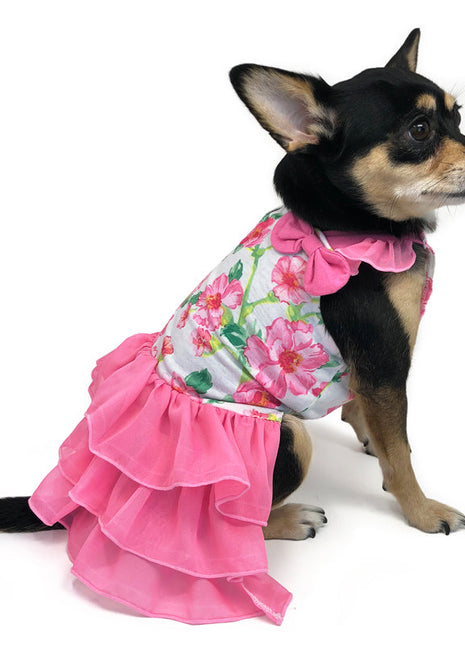 Floral Flounce Dress