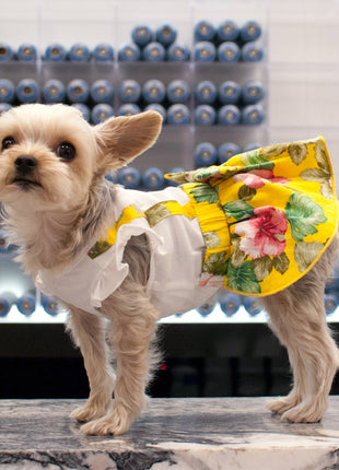 Floral Suspender Dress