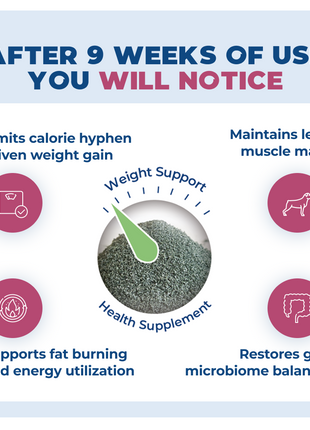 WS-01® - Weight Support Supplement