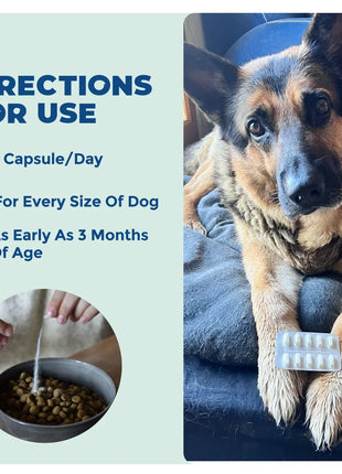 Synbiotic GB-01 - Gut Balance - 30 count - Probiotic for dogs and cats