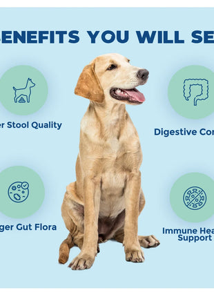 Synbiotic GB-01 - Gut Balance - 30 count - Probiotic for dogs and cats