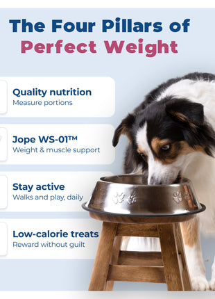 WS-01® - Weight Support Supplement