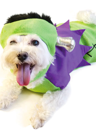 Frankenstein Hat & Shirt