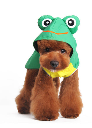 Frog Raincoat