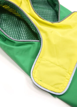 Frog Raincoat