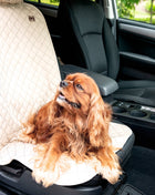 TuffutLuxx® Vehicle Protectors for Travel