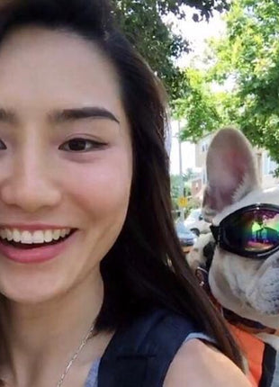 K9 Sport Shades - Dog Goggles