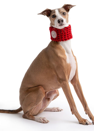 Chalet Tube Scarf - Red