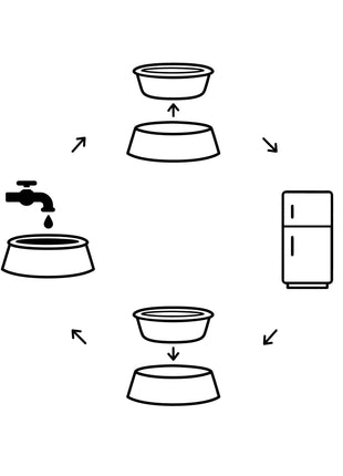 Ice Bowl - Pet Cooling Water Bowl