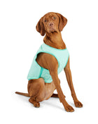 Elasto-Fit Ice Vest - Aqua