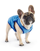 Elasto-Fit Ice Vest - Blue