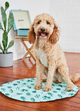 GF Pet Ice Mat