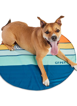 GF Pet Ice Mat