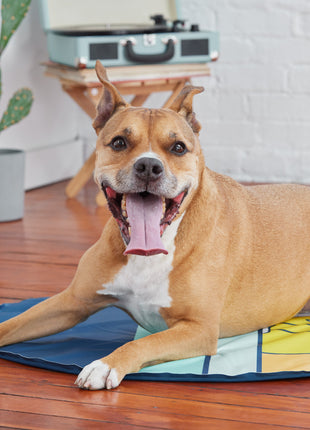 GF Pet Ice Mat