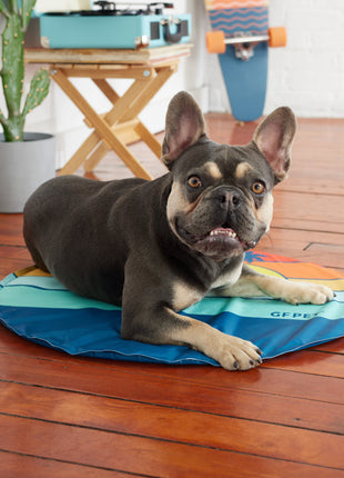 GF Pet Ice Mat