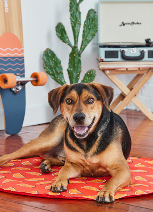 GF Pet Ice Mat