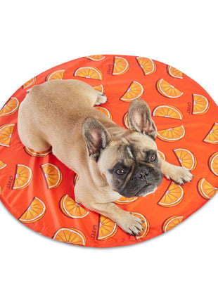 GF Pet Ice Mat