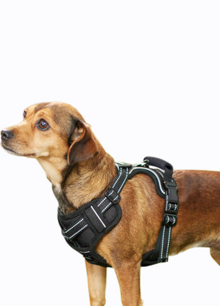 GOOPAWS Padded Reflective Pet Dog Harness, Lightweight Ripstop - Pup List