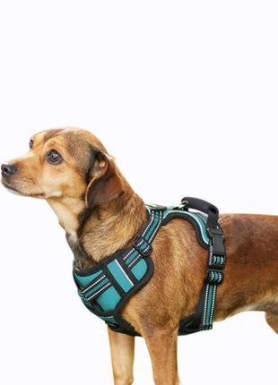 GOOPAWS Padded Reflective Pet Dog Harness, Lightweight Ripstop - Pup List