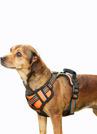 GOOPAWS Padded Reflective Pet Dog Harness, Lightweight Ripstop - Pup List