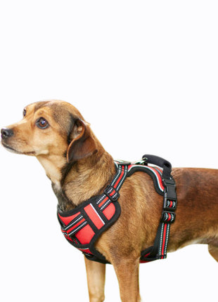 GOOPAWS Padded Reflective Pet Dog Harness, Lightweight Ripstop - Pup List