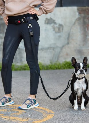 Waist Belt & Bungee Leash