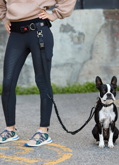 Waist Belt & Bungee Leash