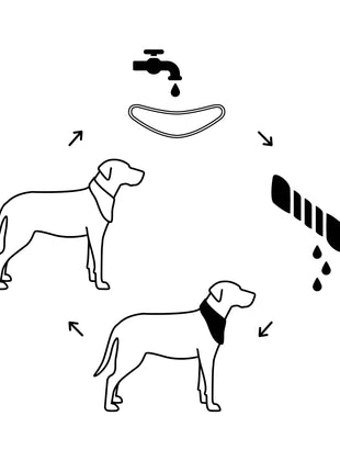 ICE BAND - Dog Cooling Bandana - Aqua