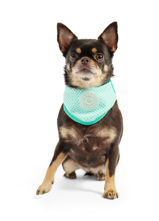 ICE BAND - Dog Cooling Bandana - Aqua