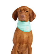 ICE BAND - Dog Cooling Bandana - Aqua