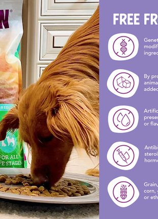 Grain Free Duck & Sweet Potato Recipe