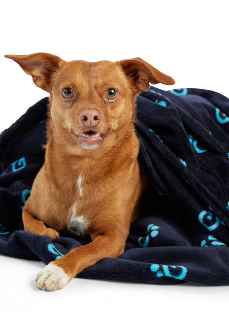 Logo Blanket - Navy