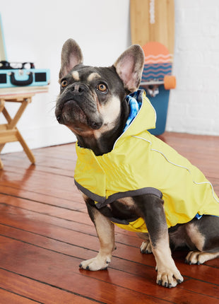 Reversible Elasto-Fit Raincoat - Yellow/Blue
