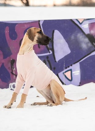 Gondola Base Layer - Pink