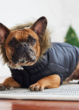 Urban Parka - Black