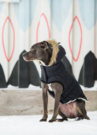 Urban Parka - Black