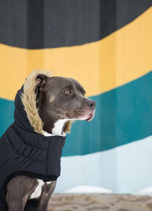 Urban Parka - Black