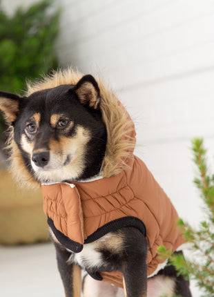 Urban Parka - Caramel