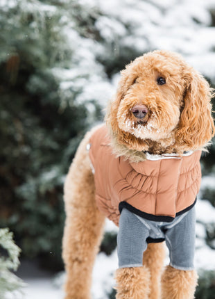 Urban Parka - Caramel