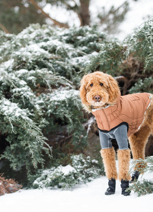 Urban Parka - Caramel
