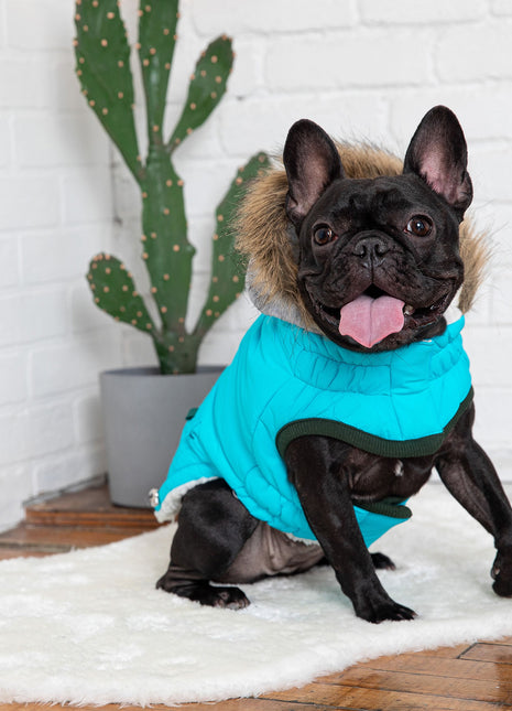 Winter Sailor Parka - Aqua