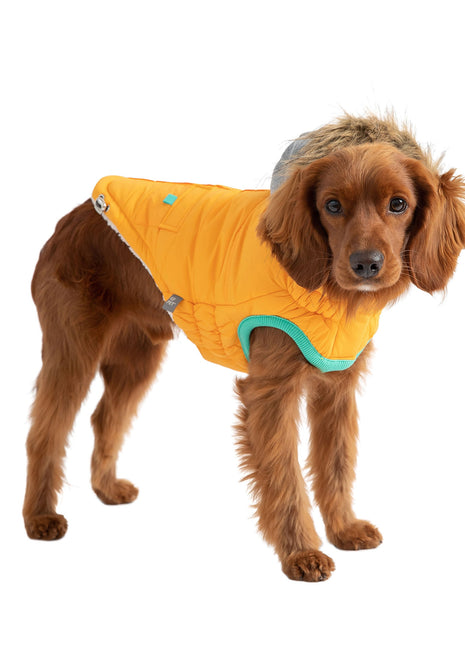 Winter Sailor Parka - Yellow