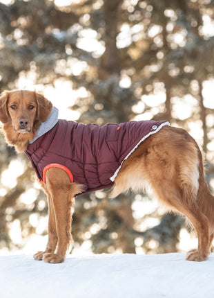 Winter Sailor Parka - Burgundy