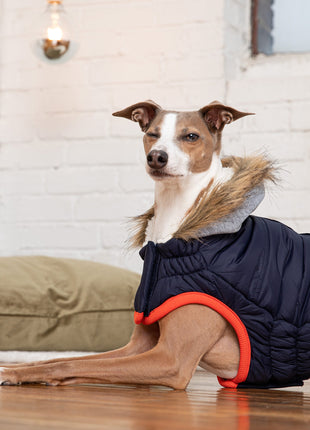 Winter Sailor Parka - Navy