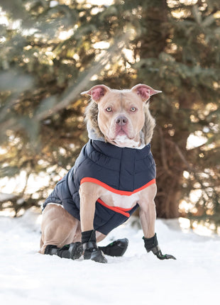Winter Sailor Parka - Navy