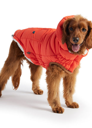 The Puff Parka - Orange