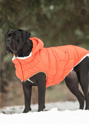 The Puff Parka - Orange